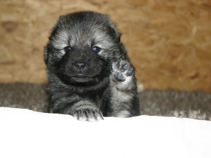 Woche 4