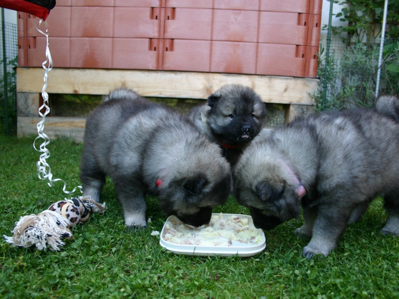 Woche 6